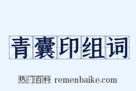 青囊印组词是什么意思的图片